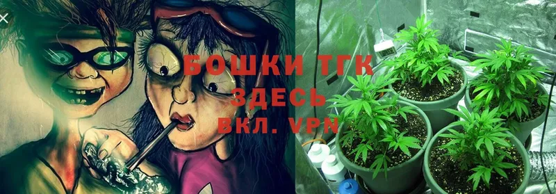 Каннабис Ganja  Гулькевичи 